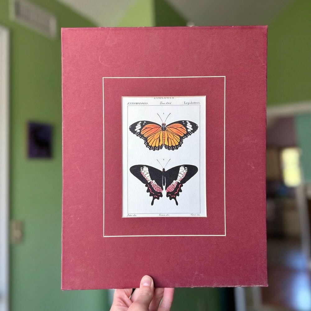 ❌SOLD - Picture 1 of 7